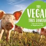 Update on Veganuary